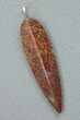 Brown Agatized Dinosaur Bone Spear Pendant #5248-3